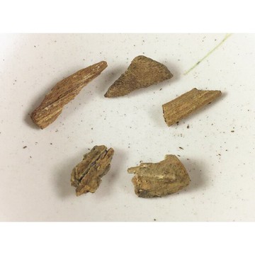 沉水~越南富森紅土沉香【周錦香】約1.04g 越南正區 濃甜蜜韻 甘醇奶香【特惠$3688】福森紅土 薰香 水沉#1