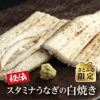 ふるさと納税 志布志市 鹿児島県産!秘伝のスタミナうなぎ白焼き2尾(計約300g)