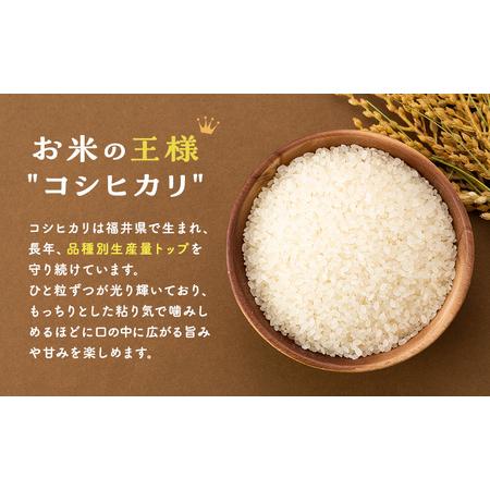 ふるさと納税 米 定期便 3ヶ月 コシヒカリ 5kg 有機JAS認証 高島屋選定品 こしひかり お米 おこめ こめ コメ 白米 精米 ご飯 ごはん 福井県 福井.. 福井県若狭町