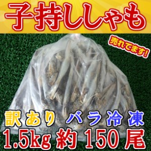 訳あり 子持 シシャモ (1500g) のし対応 お歳暮 お中元 ギフト BBQ 魚介