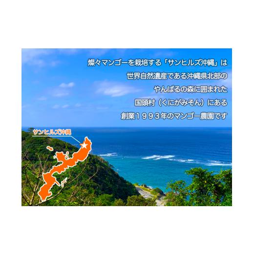 ふるさと納税 沖縄県 国頭村 燦々マンゴー