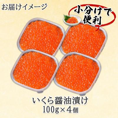 ふるさと納税 倶知安町 2024年先行受付 北海道産 いくら醤油漬け 100g×4パック