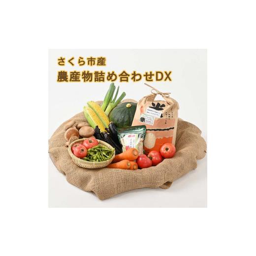 ふるさと納税 栃木県 さくら市 さくら市産の農産物詰め合わせDX≪野菜 旬の野菜 米 栃木県≫