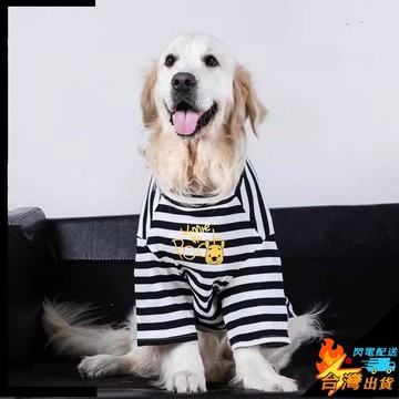 【台灣出貨】寵物服飾 保暖舒適 大狗狗條紋衣服 春秋款 拉布拉多 邊牧 中大型犬 可愛金毛 寵物衣服
