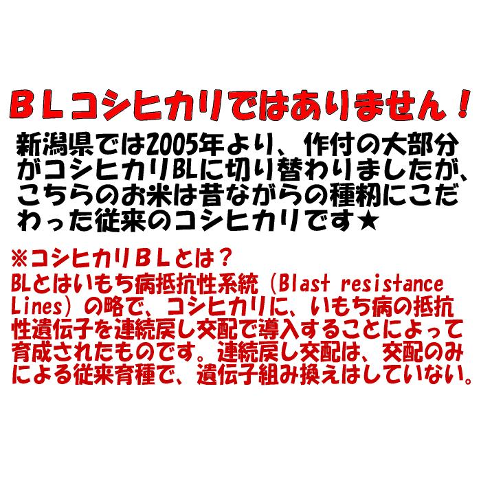 訳あり 新潟県産 中米 コシヒカリ 10kg 従来コシヒカリ 令和5年産