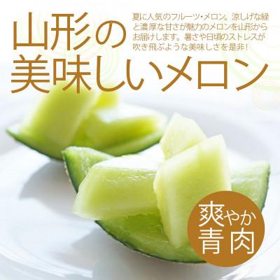 ふるさと納税 山形県  山形県 庄内産 青肉メロン 5kg (3〜5玉入り)