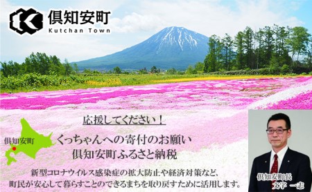 先行受付無地熨斗 北海道 倶知安 ポークカレー 200g 20個  中辛 レトルト食品 加工品 時短 豚肉 野菜 じゃがいも お取り寄せ 