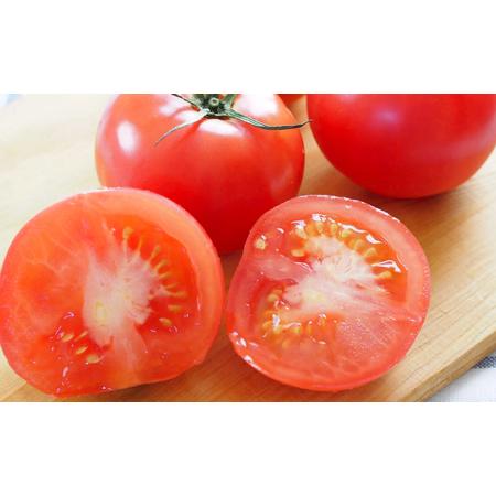 ふるさと納税 熊本県産 フルーツトマト 約2kg 熊本県八代市