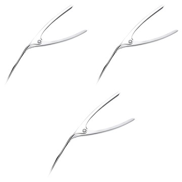 304不鏽鋼剝蝦器  3支  20.5 x 9.5 x 1.3cm  銀色