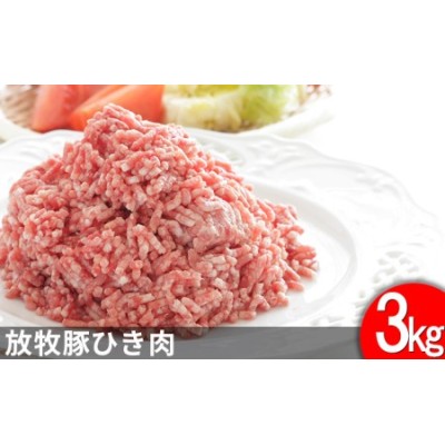 国産 特選豚肉 豚ひき肉 100g〜 豚挽肉 冷蔵品 業務用 上豚 通販 LINE