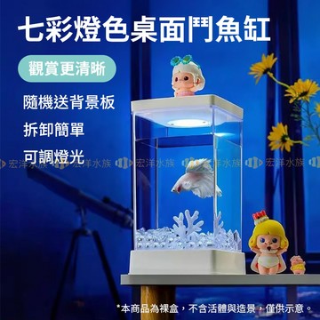 宏洋水族【桌面鬥魚缸-含usb燈/背景卡】魚缸 水族箱 迷你魚缸 小型魚缸 桌上型水族箱 鬥魚缸 觀賞造景 桌缸 水族缸