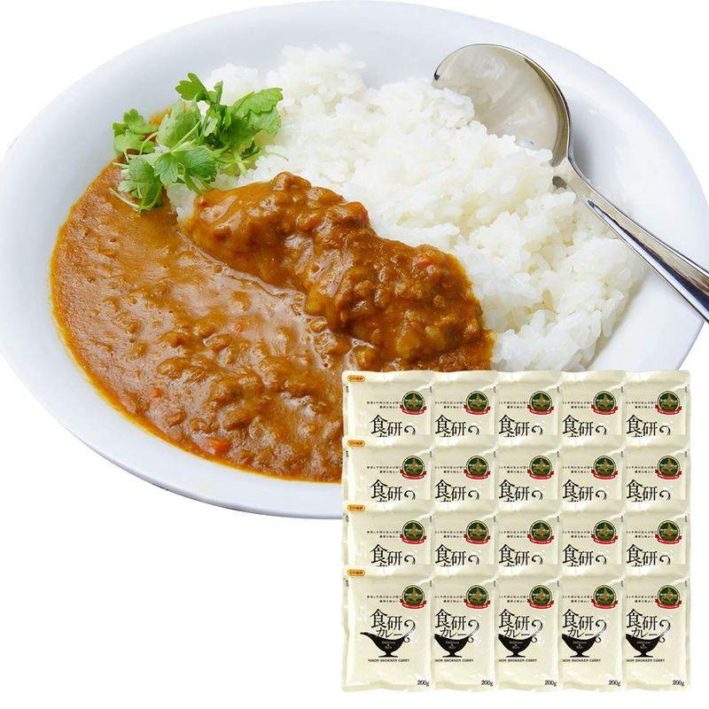 カレー レトルトカレー 中辛 ビーフカレー 食研カレー 200g 20食セット 北国からの贈り物