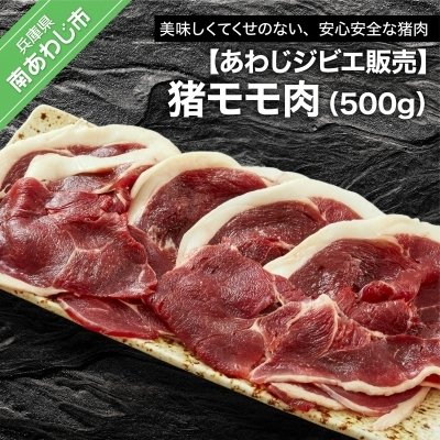 ふるさと納税 南あわじ市 猪モモ肉500g