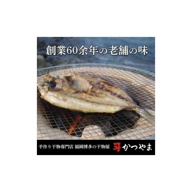 ふるさと納税 福岡県 福岡市 博多志賀島　干物かつやま定番干物詰合せ