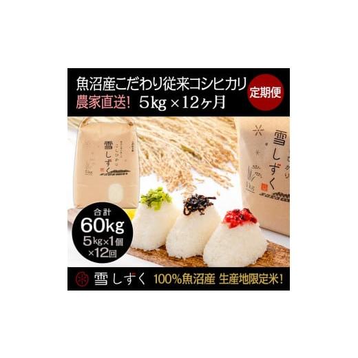 ふるさと納税 新潟県 十日町市 定期便！魚沼産こだわり従来コシヒカリ毎月5kg×12回