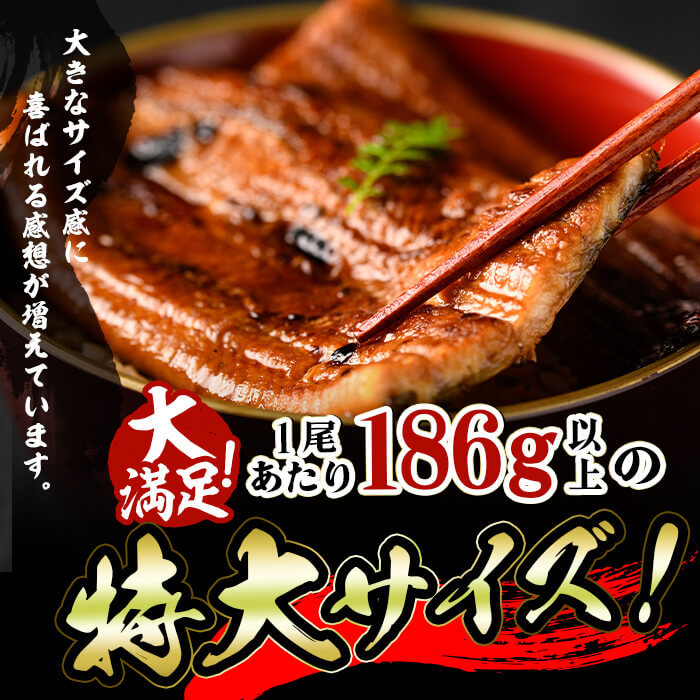 特大! 国産 八本木樽鰻の蒲焼(186g以上×5尾) きざみ鰻50g付き! c0-104-kizami