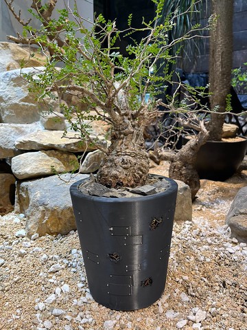 客製化盆器 3D列印