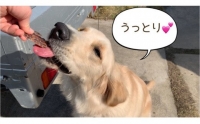 FB087　中～大型犬向け☆天然いのししスモークジャーキー4個