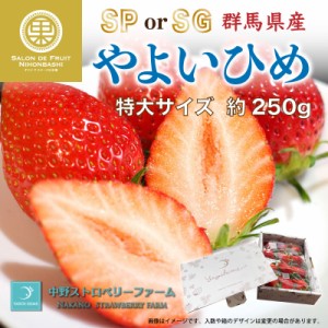 [予約 2024年1月5日-1月30日の納品] やよいひめ 特大サイズ 6-12粒 約250g 群馬県産 SP または SG 化粧箱 プレミアム やよいひめ 苺 いち