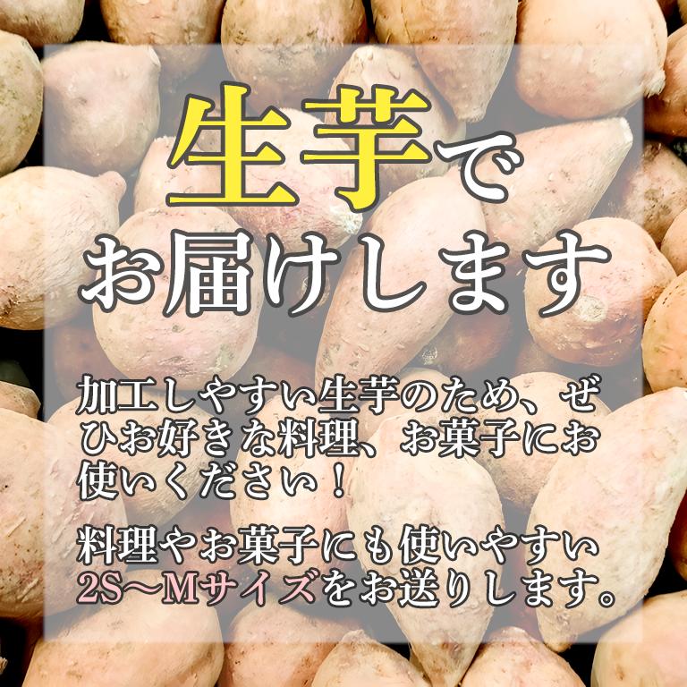 紫芋 箱込5kg S〜Lサイズ 種子島ゴールド 紫いも 鹿児島県種子島産 送料無料 生芋 さつまいも