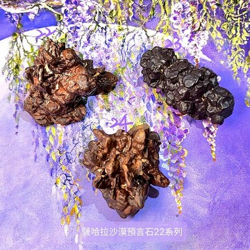 撒哈拉沙漠預言石2212-22~24號 埃及預言石/沙漠之星/沙漠之蓮