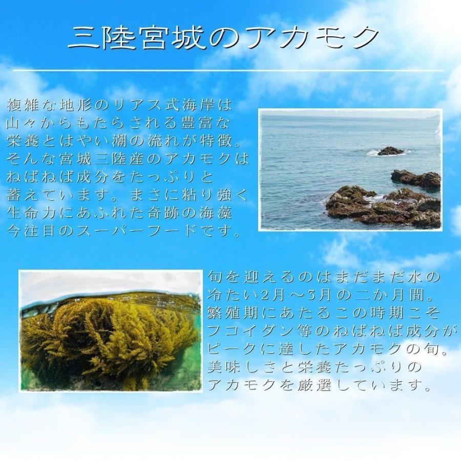 宮城県産 天然 アカモク ギバサ 100g×3パック 湯通し 冷凍 海藻 スーパーフード あかもく ぎばさ 無添加 無着色