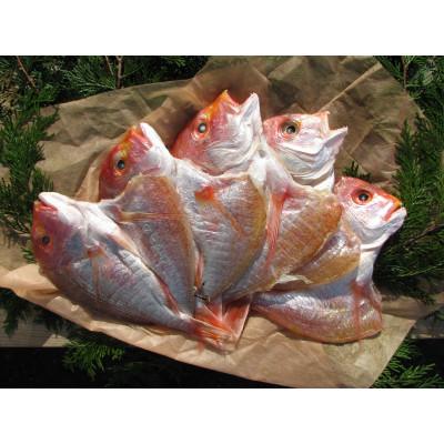 ふるさと納税 宮津市 丹後のお魚屋さん一押しの絶品レンコダイの一夜干し5枚(冷蔵)