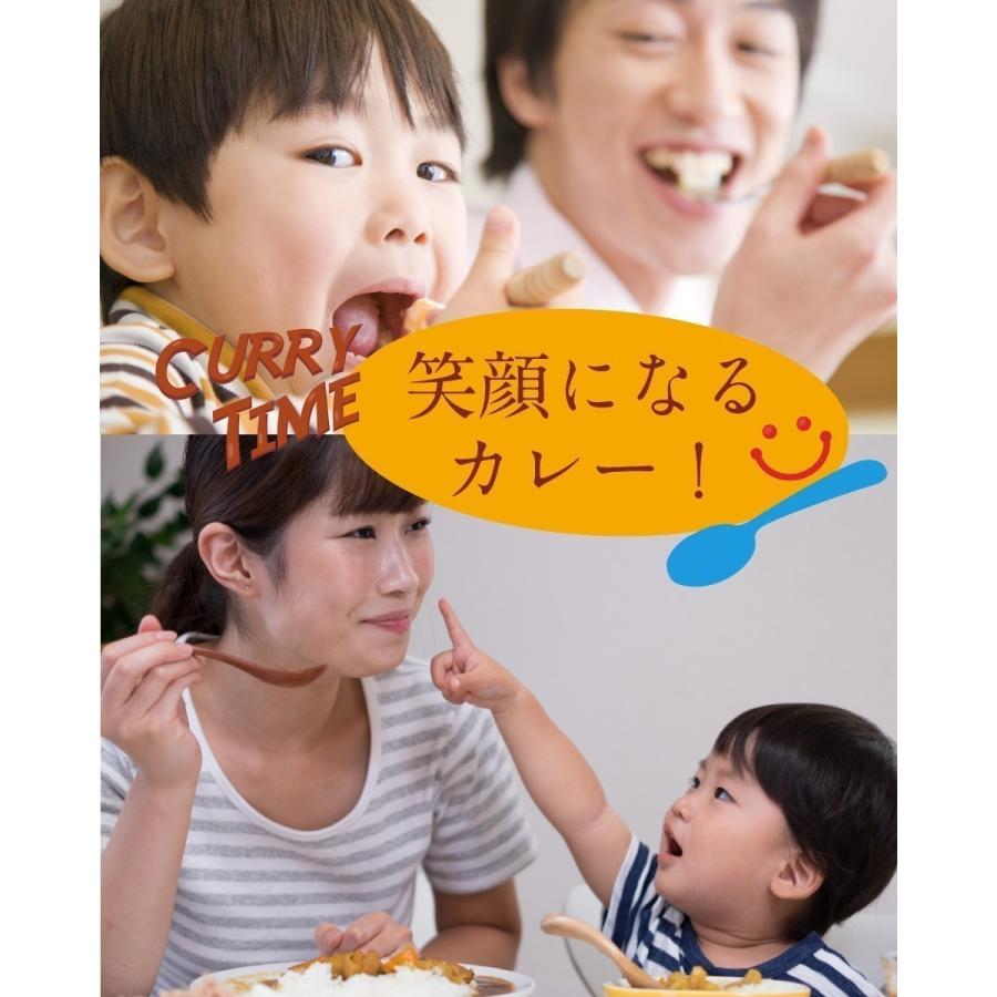 ブランド肉使用 カレー 3種類セット 松坂牛 神戸牛 近江牛 ３大ブランド牛　カレー　 1000円 送料無料  ポスト投函便