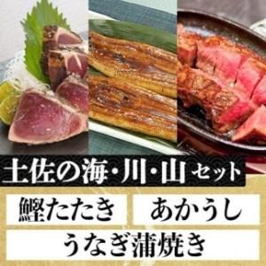 ふるさと納税 「土佐の海・川・山」 鰹たたき・うなぎ蒲焼き・あかうしセット 高知県高知市