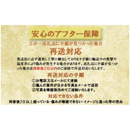 ふるさと納税 岡山県産 シャインマスカット晴王×ニューピオーネ　２種２kg 岡山県備前市