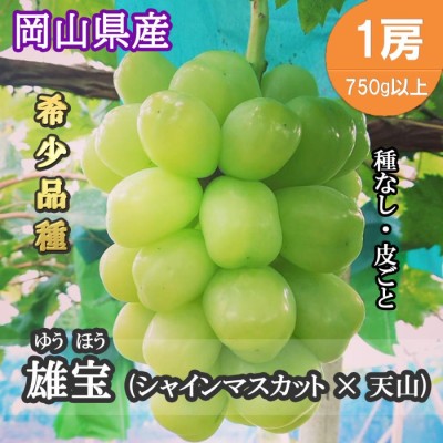 雄宝 1房 750g以上 《シャインマスカット×天山》 岡山県産 種無し 皮ごと ぶどう 朝採り | LINEブランドカタログ