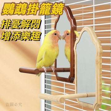台灣現貨💙鸚鵡掛籠鏡 木站桿造型 鳥用鏡子 中小型鳥適用 玄鳳虎皮牡丹文鳥 鳥籠站棍配件 磨爪棲木 7F4C
