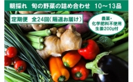 『隔週お届け』旬の野菜の詰め合わせと農薬不使用の生姜200g付き