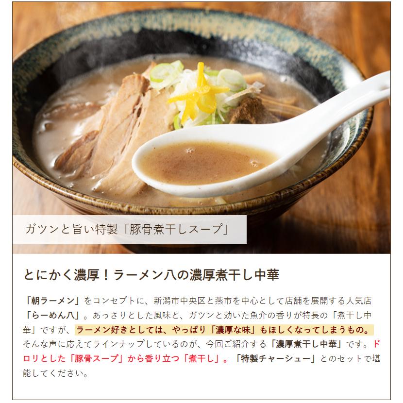 濃厚煮干しつけ麺 2パック（4食入） ラーメン 麺 らーめん八 家ラー専門店 送料無料