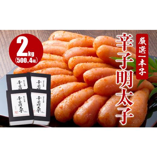 ふるさと納税 福岡県 田川市 厳選1本子辛子明太子 2kg（500g×4箱）