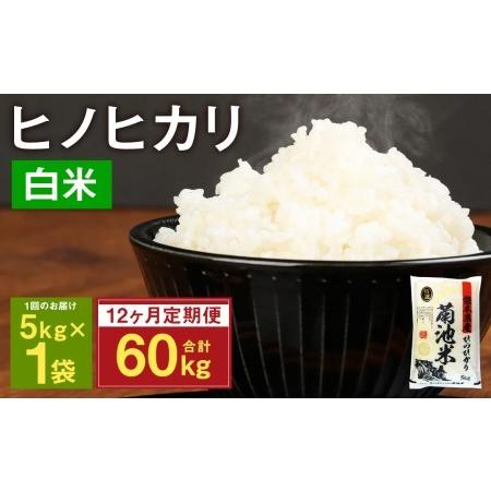 ふるさと納税 熊本県菊池産 ヒノヒカリ 5kg×12回 計60kg 精米 お米 白米  熊本県菊池市