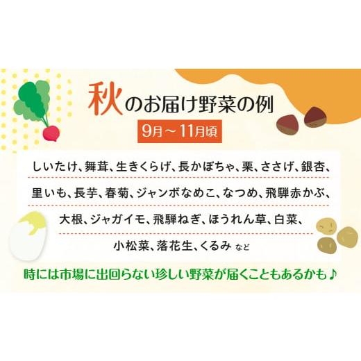 ふるさと納税 岐阜県 飛騨市 産直市から直送！ 飛騨産 旬の新鮮 野菜セット (6-8品)   〜2024年7月から11月にお届け〜