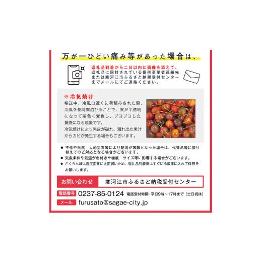 ふるさと納税 山形県 寒河江市 さくらんぼ 「佐藤錦」 1kg（500g×2） 秀品 Lサイズ  山形県産 2024年産 　0…