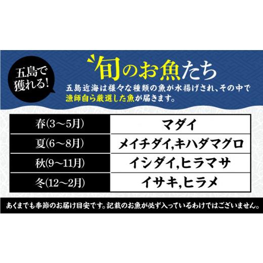 ふるさと納税 長崎県 五島市 五島産 高級 鮮魚 下処理済 約3kg セット 五島市／マルセイ水産[PBT001]