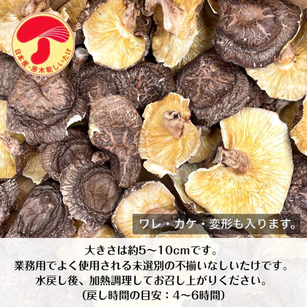 干し椎茸 国産 業務用 500g 5袋入 西日本産 原木栽培 無農薬 しいたけ 干ししいたけ