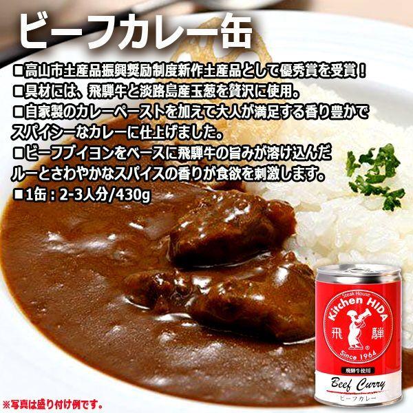 キッチン飛騨 味の匠ビーフカレー・ポークカレー・野菜カレー3缶セット  (淡路島玉葱 ごちそう 秘伝の味 ビーフブイヨン 飛騨産豚 豚肉 動物性 大豆ミート)