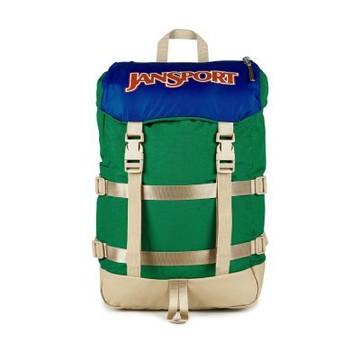 Jansport 後背包 Skip Pack 青草綠 28L 13吋筆電包 書包 水瓶側袋 大容量 JS0A86DV88Q