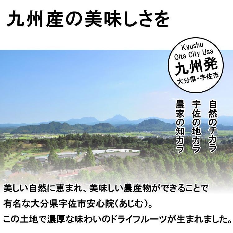 選べるドライフルーツ 5個セット 無添加 国産 砂糖不使用 産地直送 レターパックプラス ドリームファーマーズ 送料無料