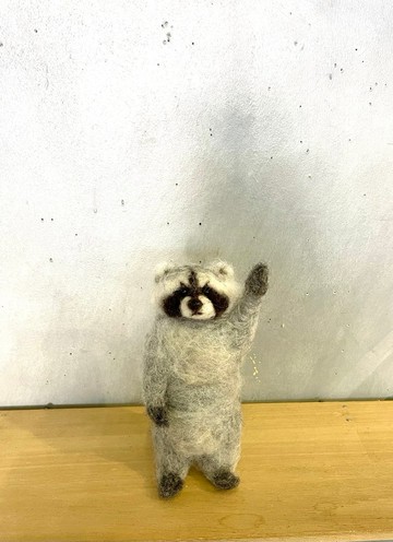 揮手浣熊