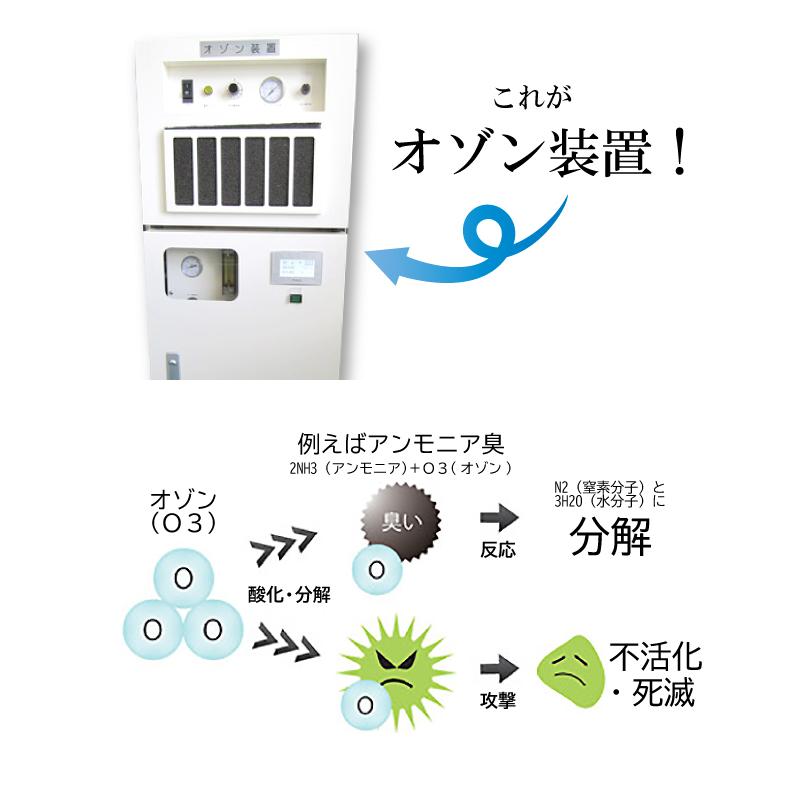 着物クリーニング オゾン京洗い なんでも3点 組み合わせ自由 臭いと菌に着目 sin8001-shitate  S