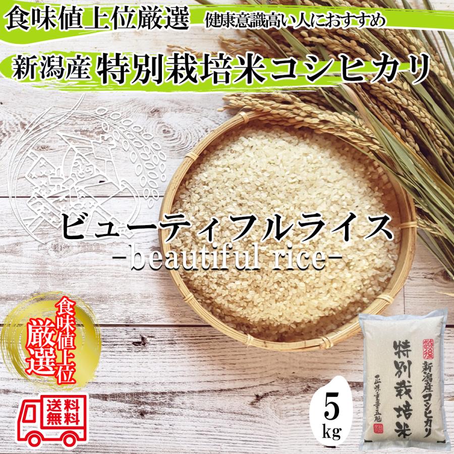 新米 令和５年産 新潟産 特別栽培米コシヒカリ 白米5kg （5kg×1袋）「香り」「ツヤ」「甘味」「粘り」高水準、プロ仕様、自慢のコシヒカリ