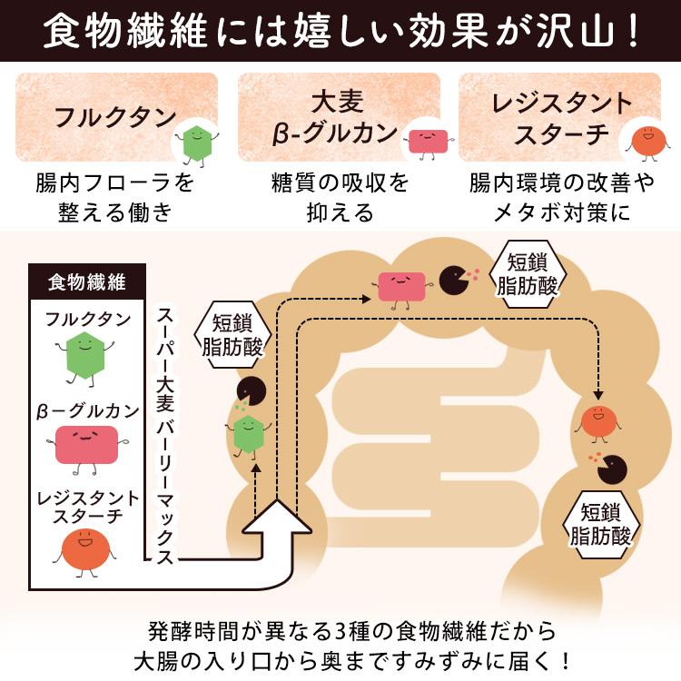 大麦 そのままたべられる バーリーマックスフレーク 200g 食物繊維 