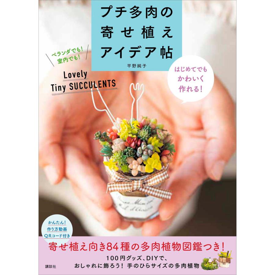 講談社 プチ多肉の寄せ植えアイデア帖 はじめてでもかわいく作れる