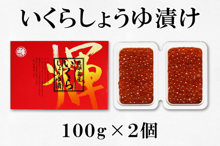 大粒ほたて貝柱250g×1 いくらしょうゆ漬け120g×2 噴火湾産たらこ120g×2 丸鮮道場水産 小分け 食べ切り 食べきり 北海道