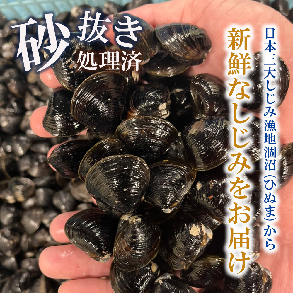 訳あり 涸沼産 中粒 冷凍 シジミ 2.4kg （400ｇ×6袋） しじみ 蜆 大和しじみ ヤマトシジミ 大玉 砂抜き済 冷凍 味噌汁 スープ 魚貝類 貝 オルニチン コハク酸 小分け わけあり 訳アリ